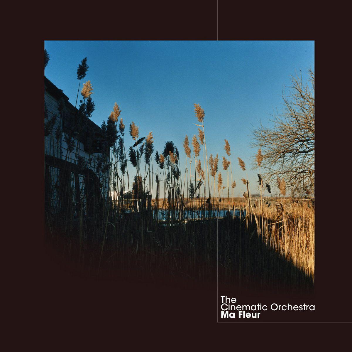 Portada de Álbum "Ma Fleur", de The Cinematic Orchestra