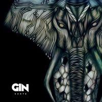 Portada de Álbum "Sorte", de Gin