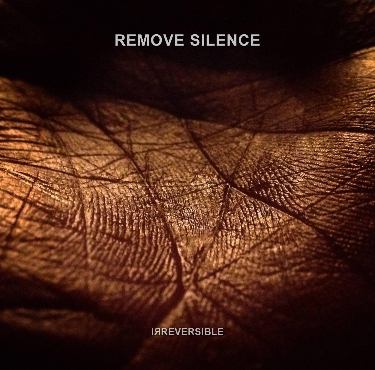 Portada de Álbum "Irreversible", de Remove Silence