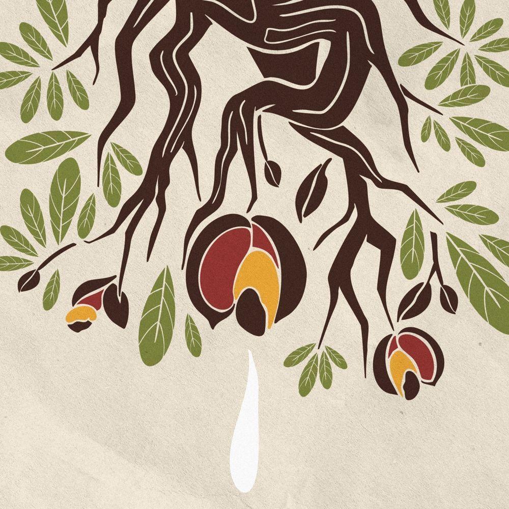 Portada de Sencillo/EP "O Cerrado Ameaçado (part. Marina Sena, Alexandre Carlo e Cesar Lacerda)", de Carlos Rennó