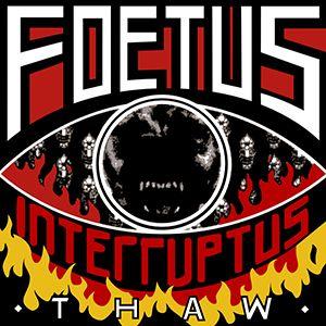 Capa do álbum "Thaw", de Foetus