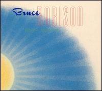 Album cover of "Eleven Stories" by Bruce Robison
