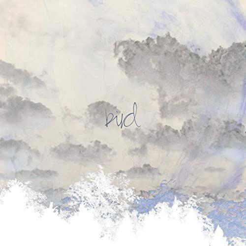 Portada de Sencillo/EP "Bird", de Marianne Engebresten