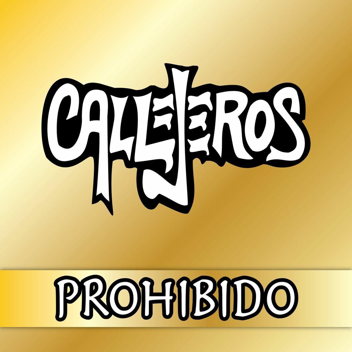 Portada de Sencillo/EP "Prohibido (En Vivo) (Mezclado y Masterizado 2017)", de Callejeros
