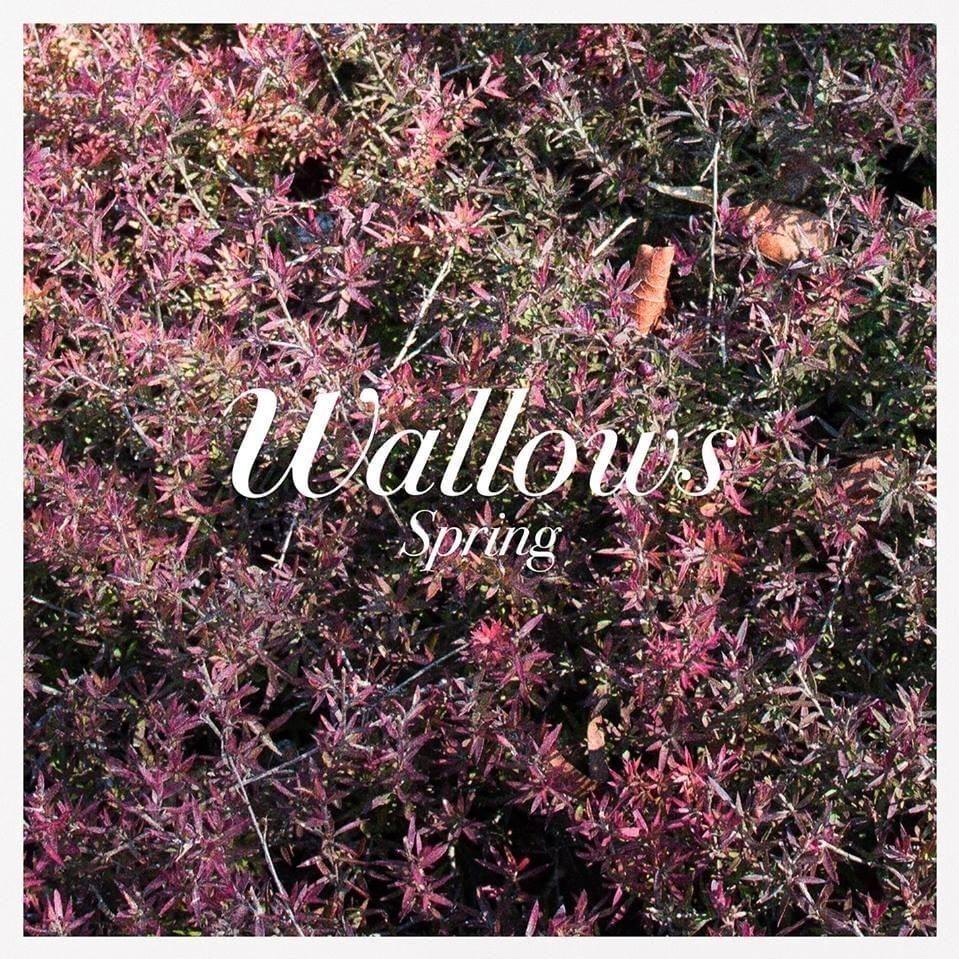 Portada de Álbum "Spring EP", de Wallows