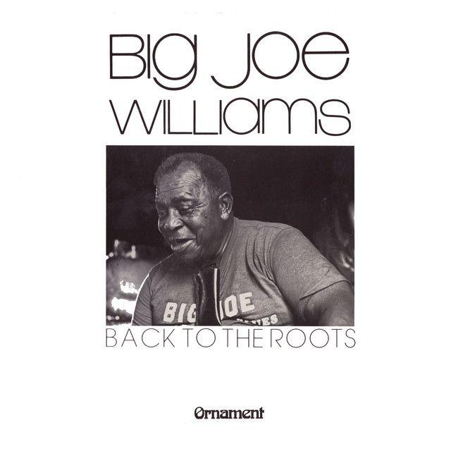 Portada de Álbum "Back To The Roots", de Big Joe Williams