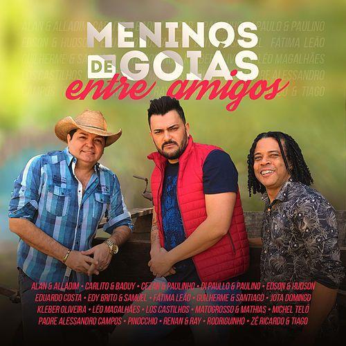 Portada de Álbum "Meninos de Goiás Entre Amigos", de Meninos de Goiás