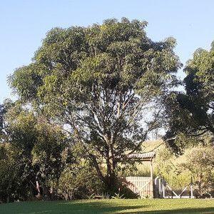 Portada de Sencillo/EP "FIM DO MUNDO", de amuy