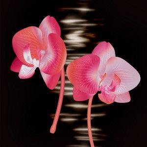 Portada de Sencillo/EP "Former Life", de Yumi Nu