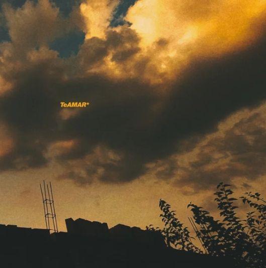 Portada del álbum "TeAmar*", de Flower (UNCHROMA)