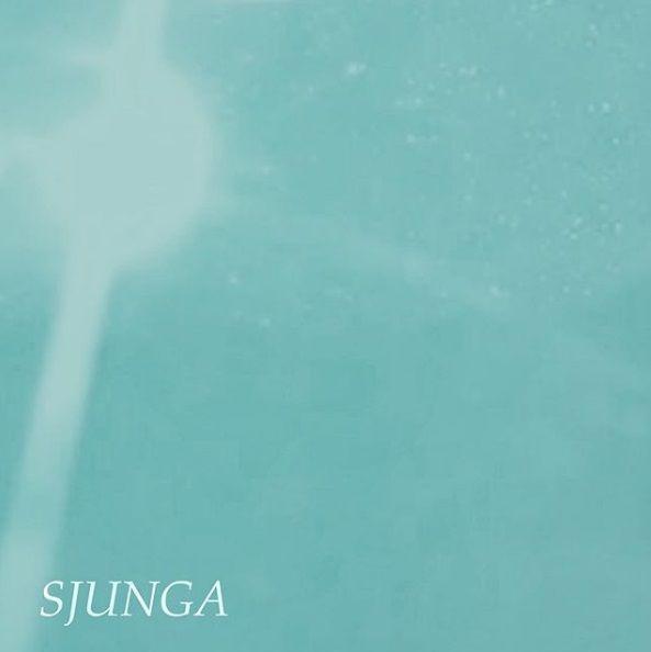 Album cover of "Sjunga" by Moonica Mac