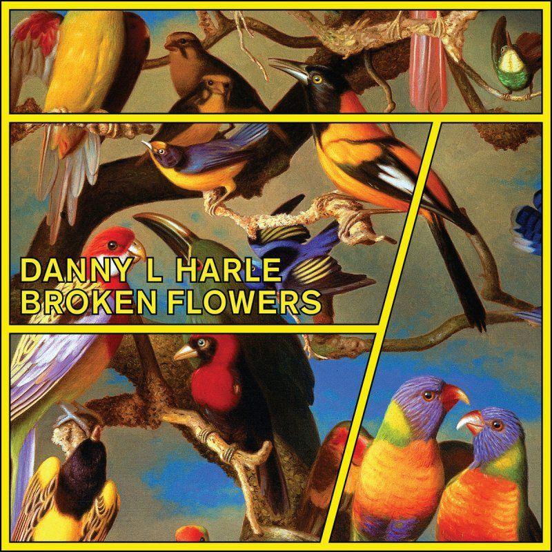 Portada de Sencillo/EP "Broken Flowers", de Danny L Harle