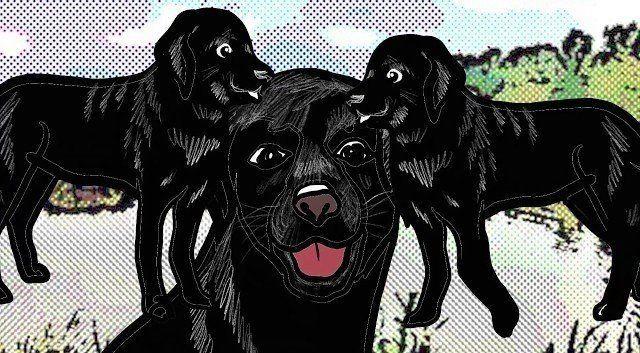 Portada de Sencillo/EP "Three Black Labradors", de Rie Fu