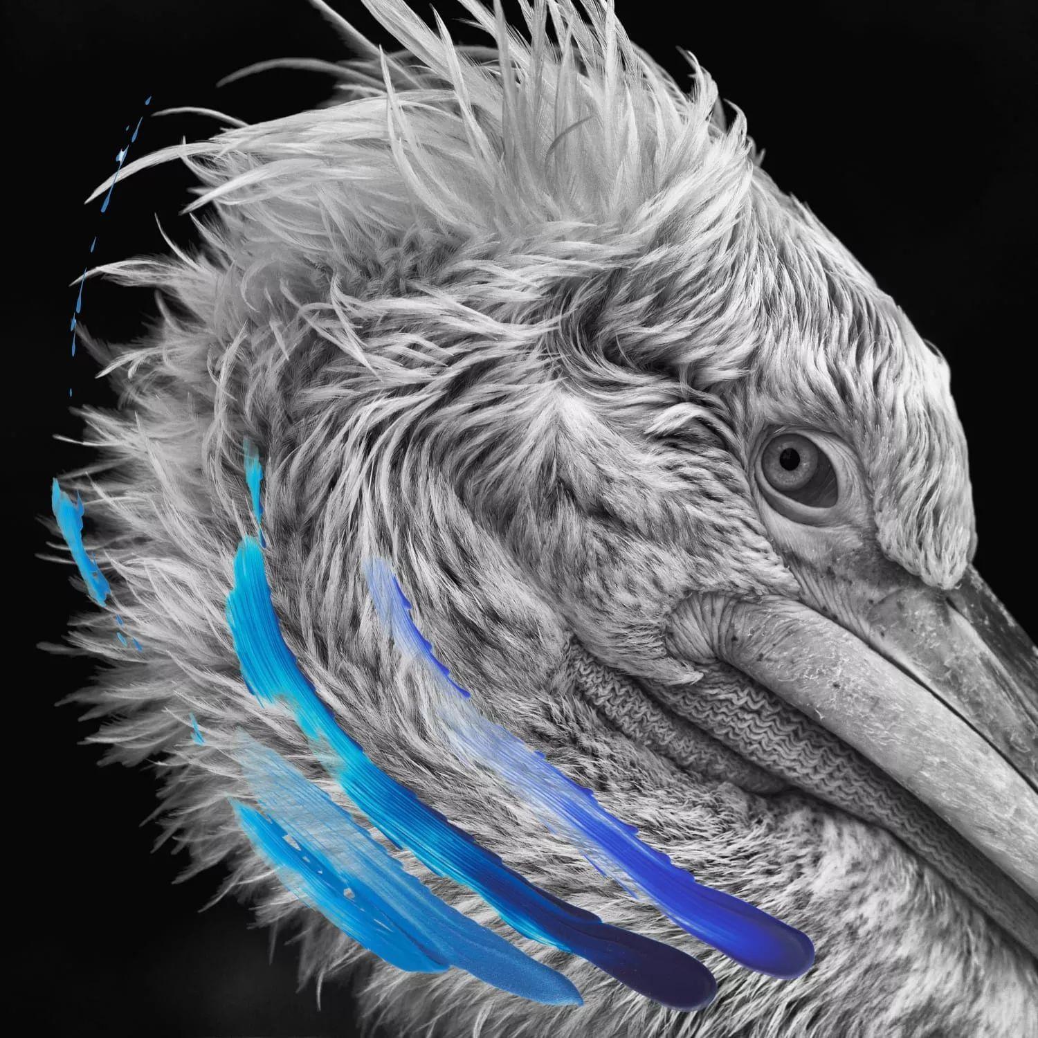 Portada de Álbum "Lies", de LIES