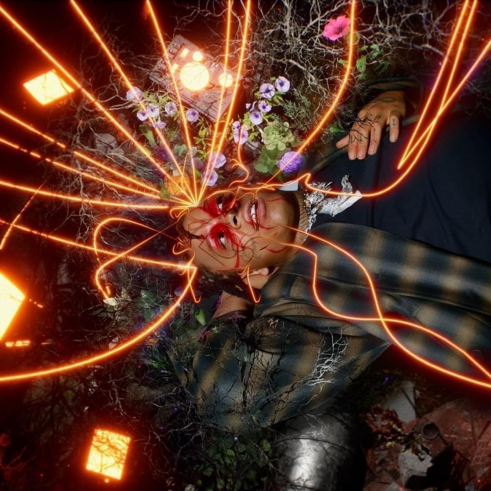 Portada de Álbum "A Love Letter to You 5 (Deluxe)", de Trippie Redd