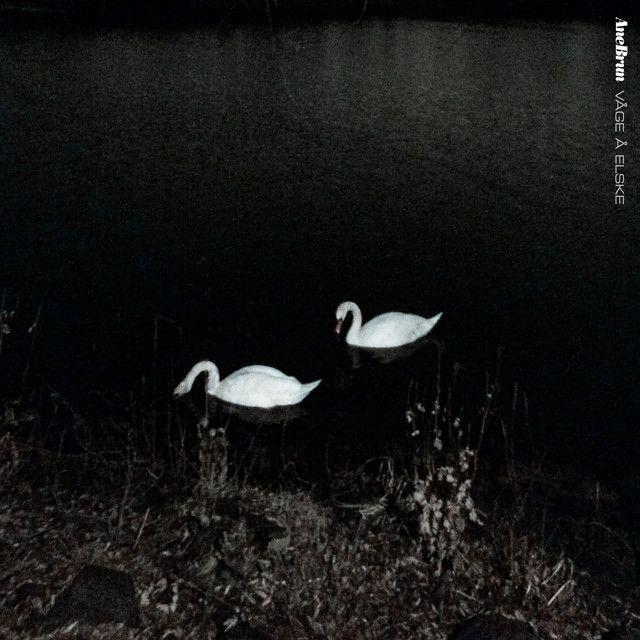 Capa do álbum "Våge Å Elske", de Ane Brun
