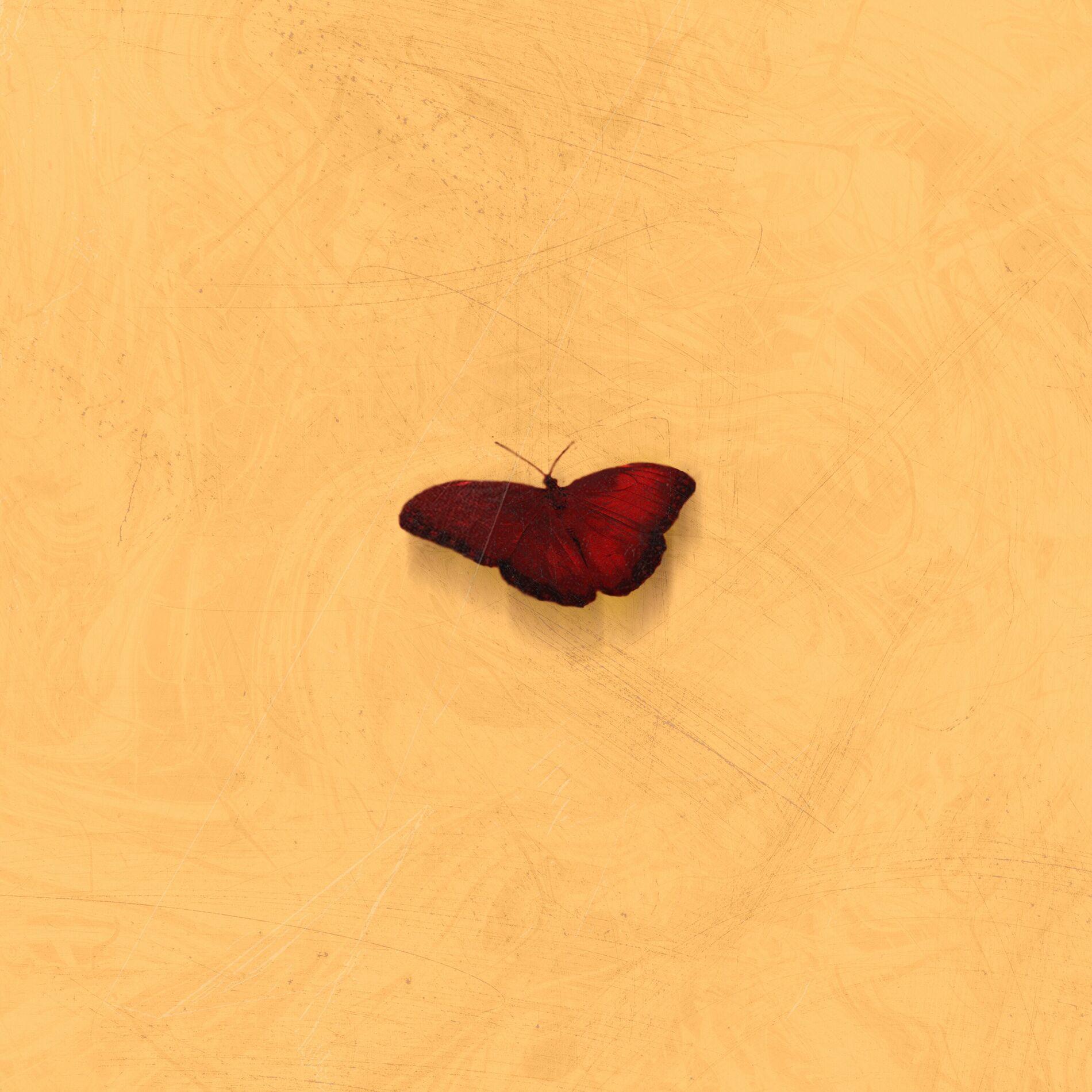 Capa do Single/EP "Leve, Prossiga", de Reforme