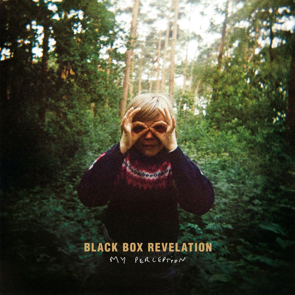 Album cover of "My Perception" by The Black Box Revelation
