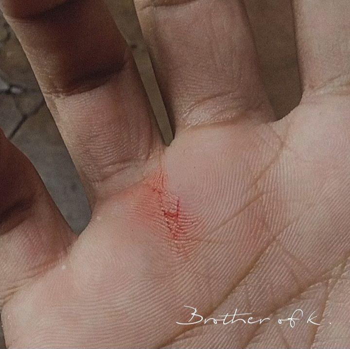 Portada de Sencillo/EP "Banco de Sangue ", de BROTHER OF K