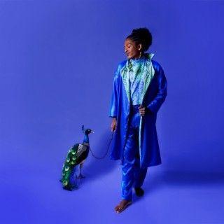 Portada de Álbum "Obras Póstumas de Um Sentimento Vivo", de Preto Tipuá