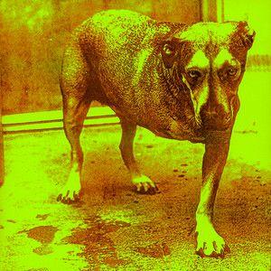 Portada del álbum "Alice in Chains", de Alice In Chains