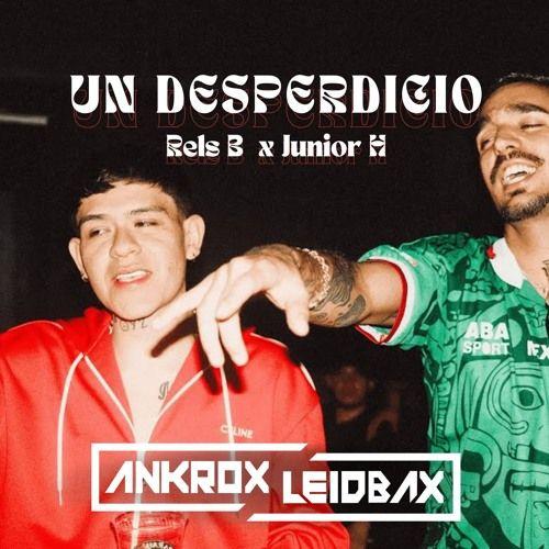 Portada del álbum "UN DESPERDICIO", de Junior H