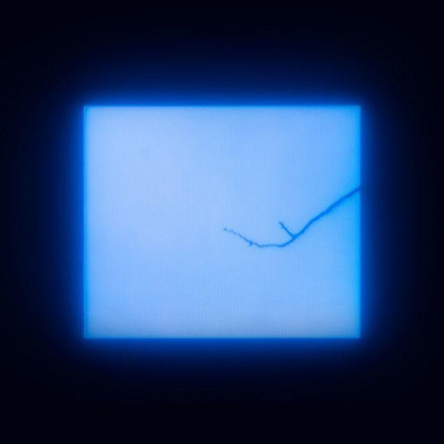 Portada de Sencillo/EP "Parliament Of Owls", de Agnes Obel