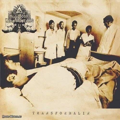 Album cover of "Diagnose: Lebensgefahr" by Silencer