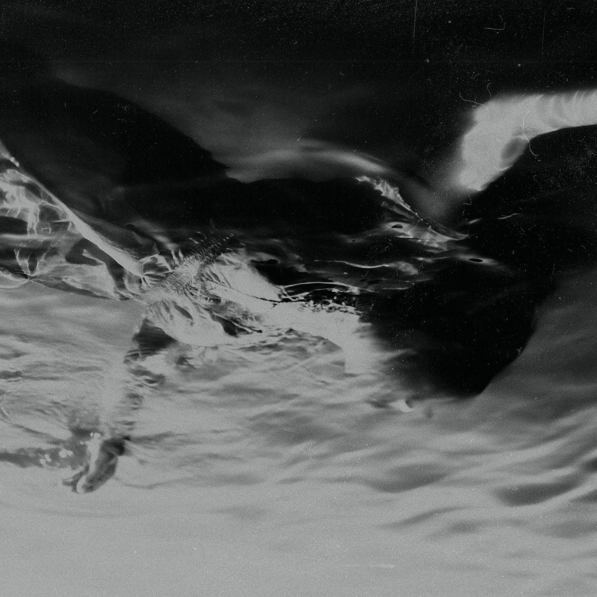 Portada de Álbum "Coma Year", de Limbs