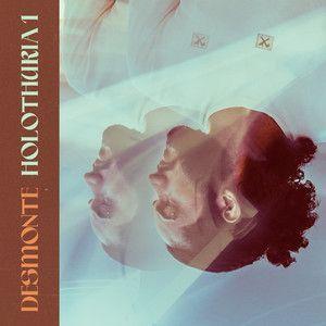 Portada de Álbum "Holothuria 1", de Desmonte