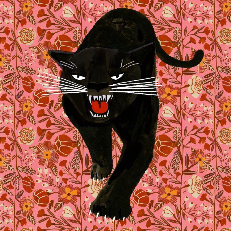 Capa do álbum "The Panther", de Laura Veirs