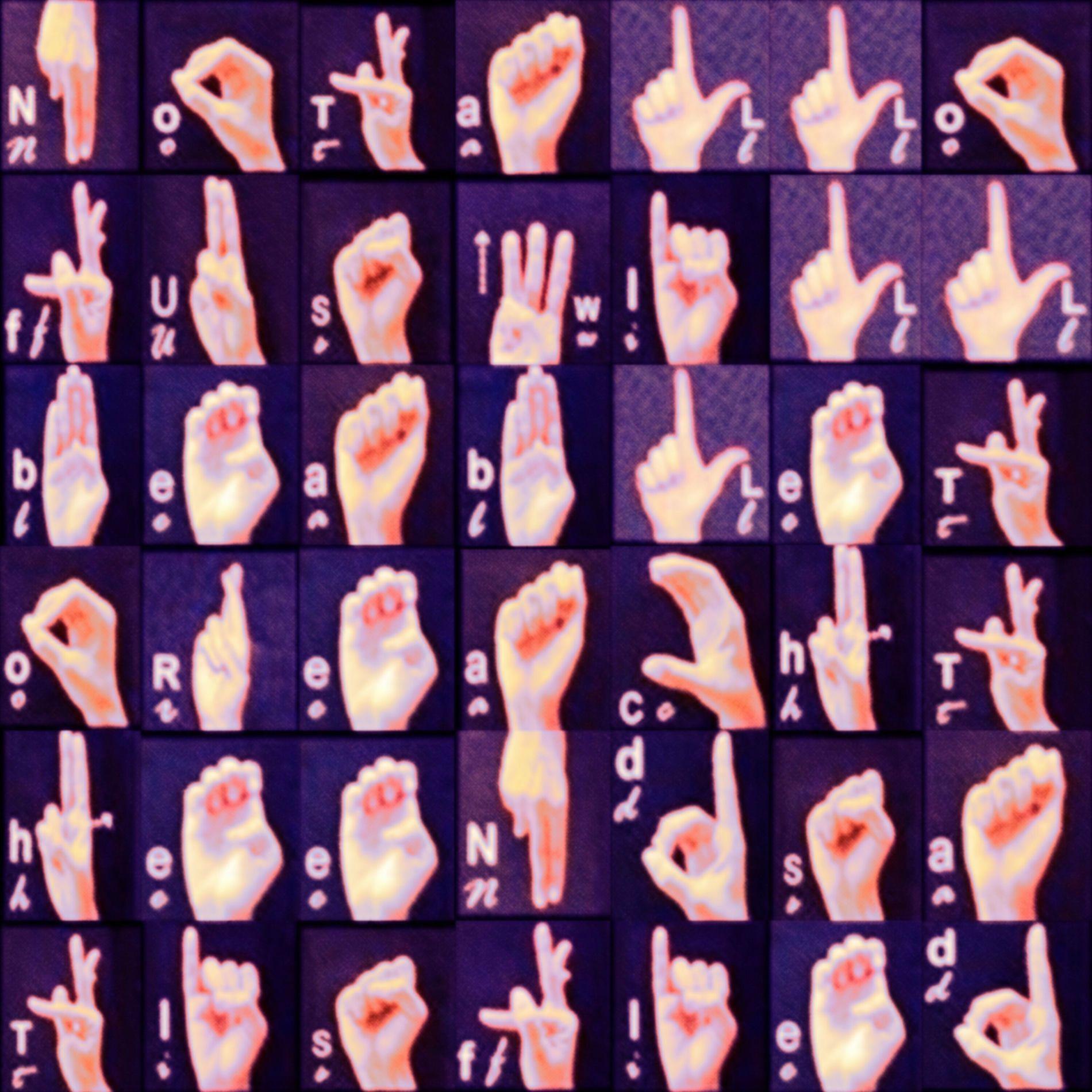 Portada de Álbum "Not All Of Us Will Be Able To Reach The End Satisfied", de confortavelmente confuso