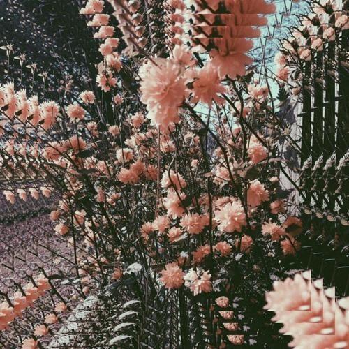 Portada de Álbum "Dazed Days", de Alfie Templeman