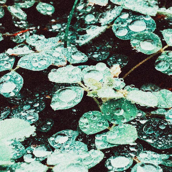 Capa do álbum "Rain chamber", de Sadness