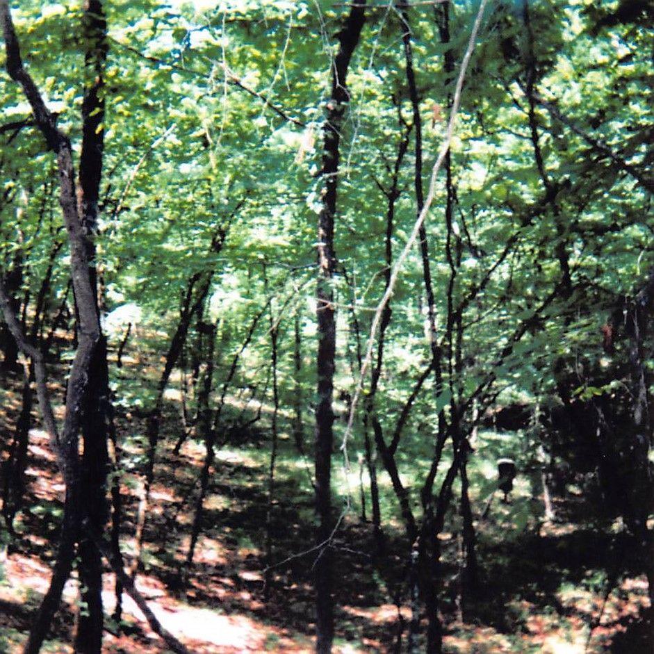 Capa do Álbum "Amsterdam Saturday", de Jandek