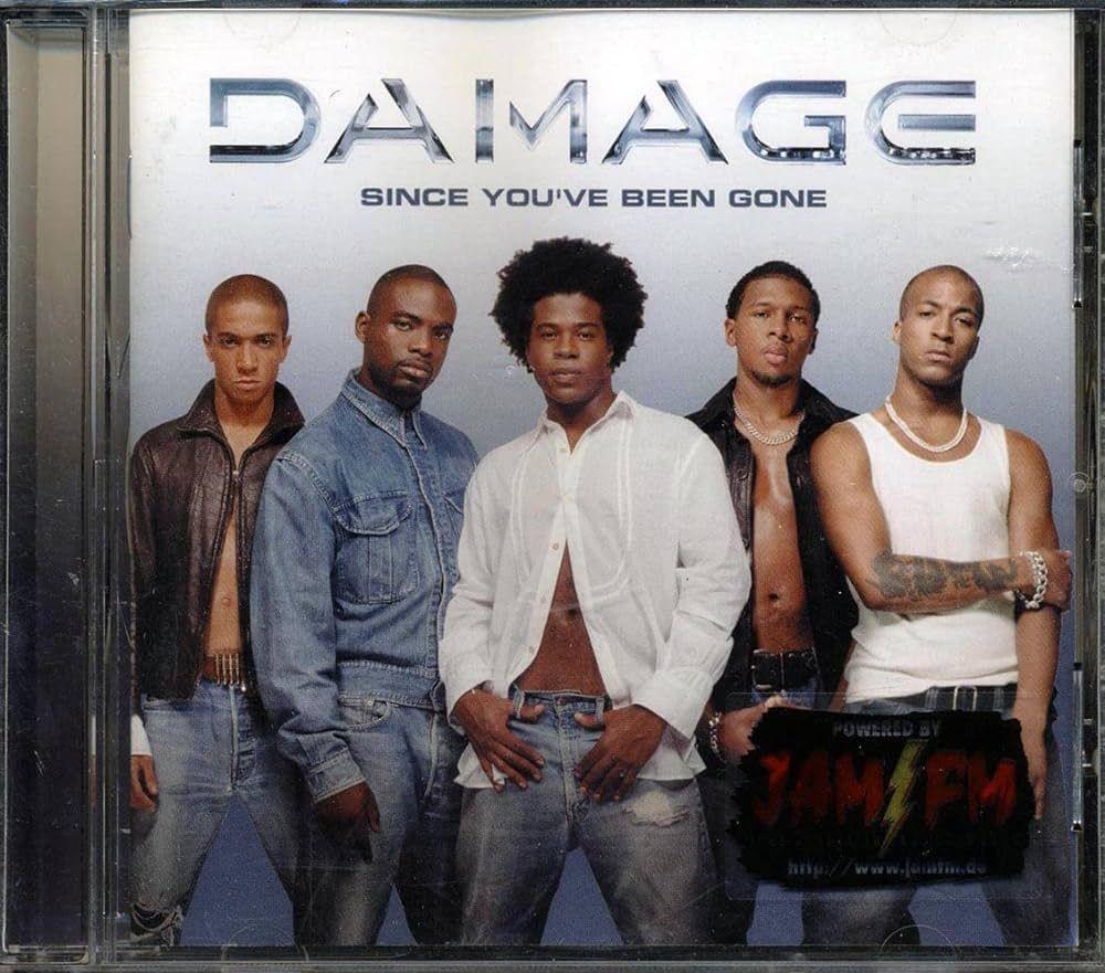Portada de Álbum "Since You've Been Gone", de Damage