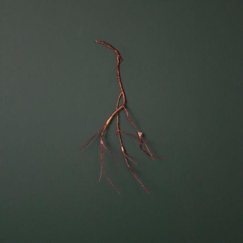 Capa do álbum "Raízes", de Projeto Dois ou Mais