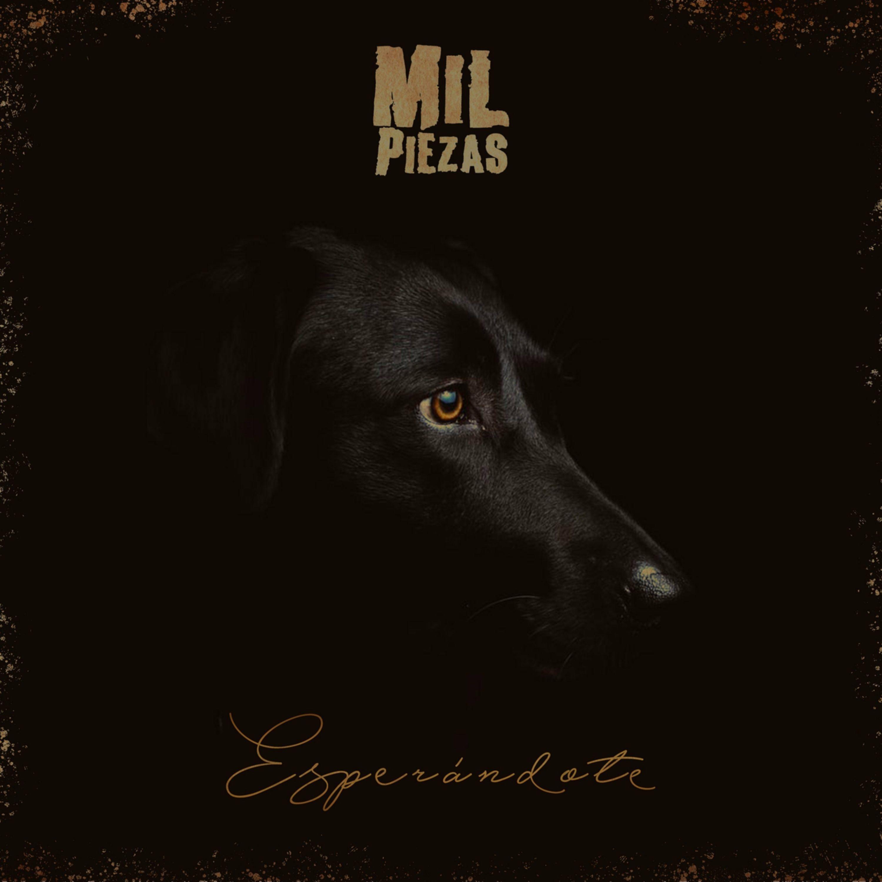 Portada de Álbum "Esperándote", de Mil Piezas