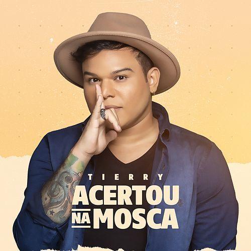 Capa do Álbum "Acertou Na Mosca (2020)", de Tierry