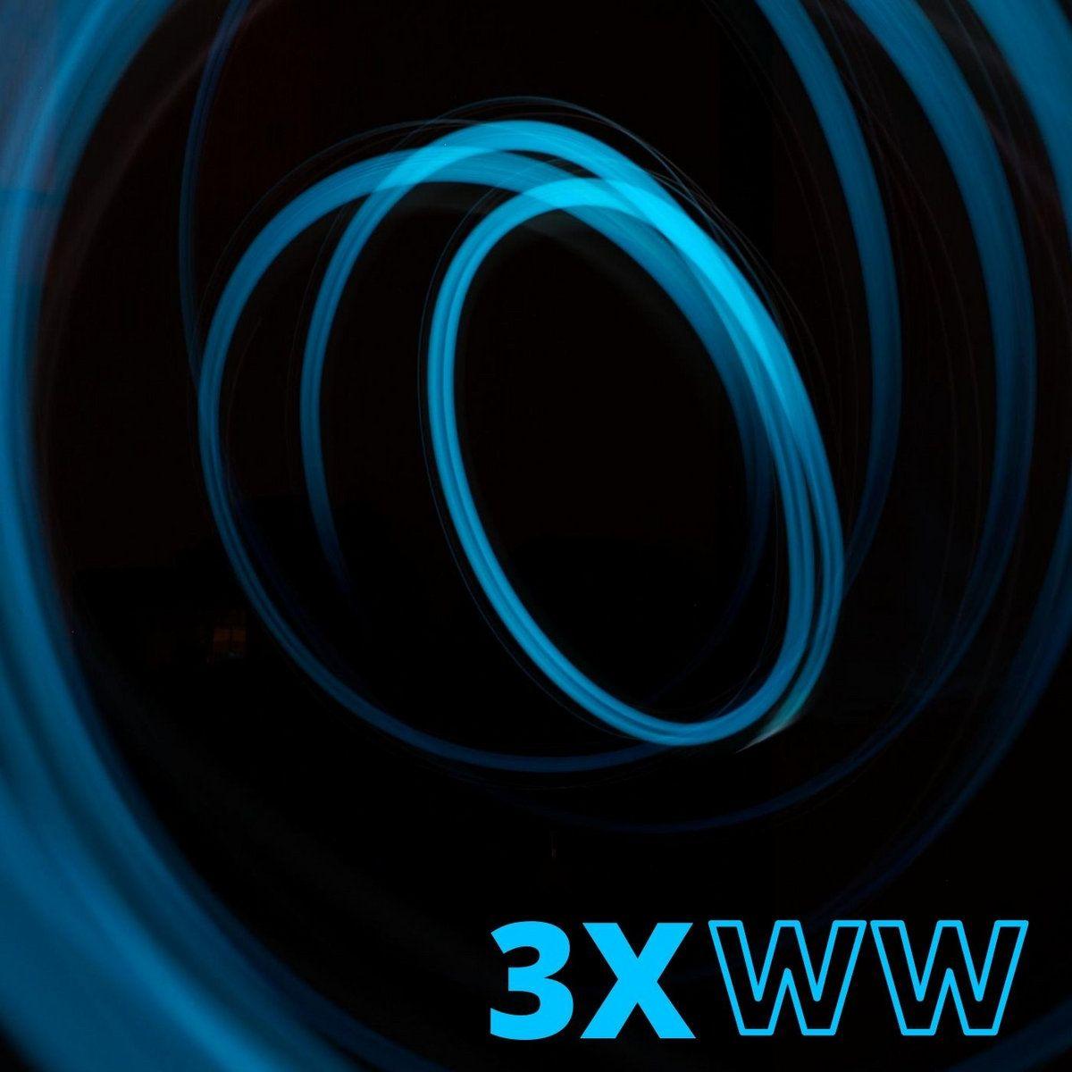 Album cover of "3XWW" by Wander Wildner