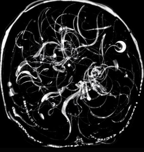 Album cover of "O Gênio e o Louco "Entre o Céu e a Terra" (part. Makalister)" by Froid