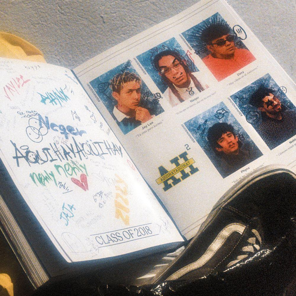 Portada de Álbum "DROPOUT", de AQUIHAYAQUIHAY