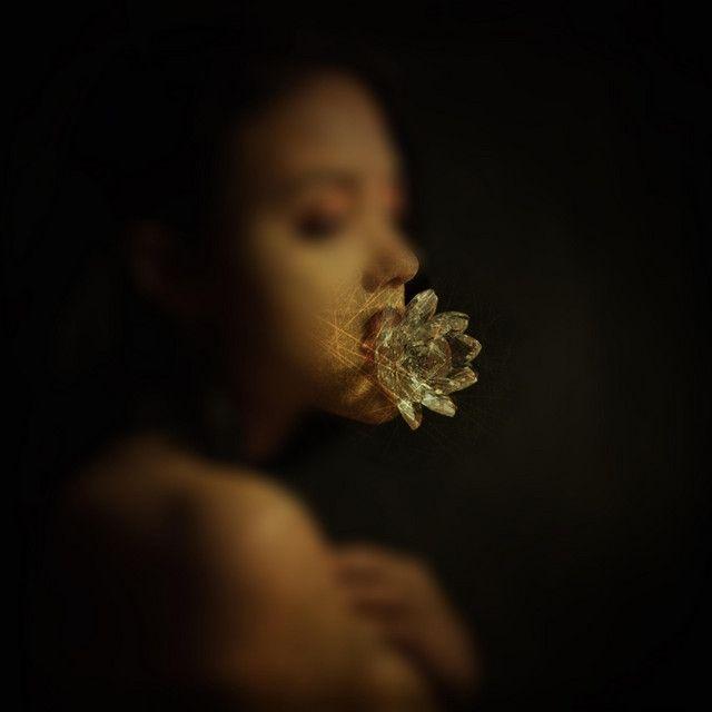 Portada de Álbum "Lotus Flower", de Alexa Melo