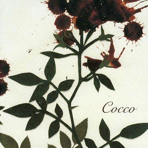 Capa do Álbum "Sangrose", de Cocco