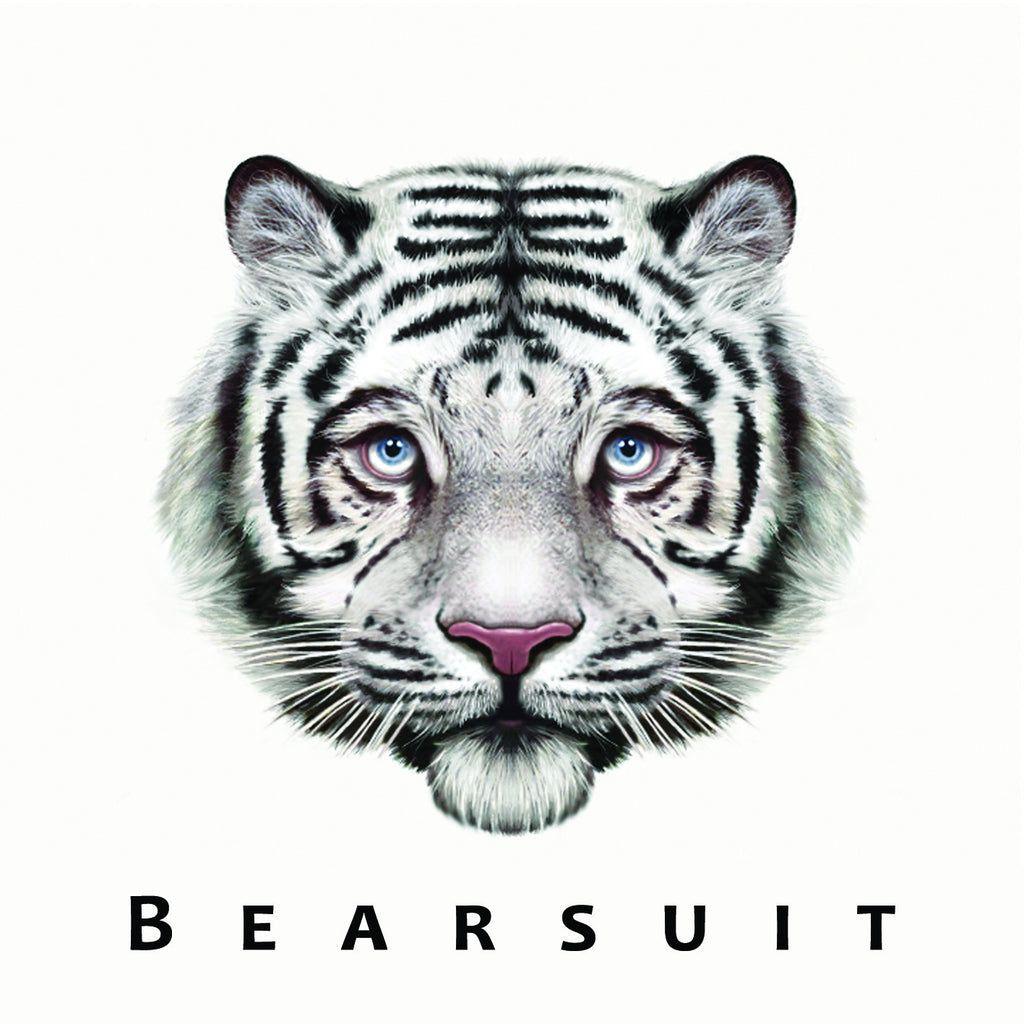 Portada de Álbum "The Phantom Forest", de Bearsuit