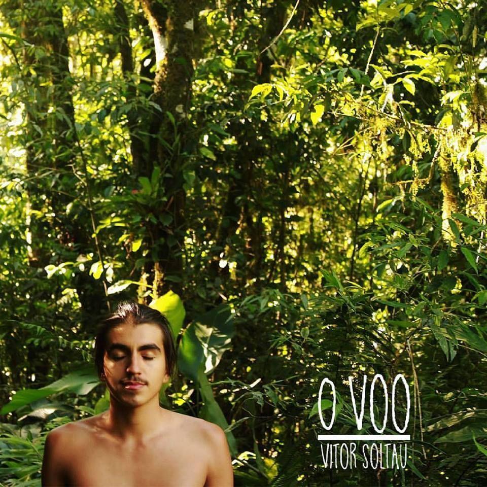 Album cover of "O Voo" by Vitor Soltau