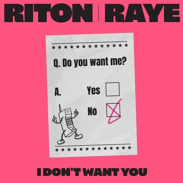 Capa do álbum "I Don't Want You (feat. Riton)", de RAYE