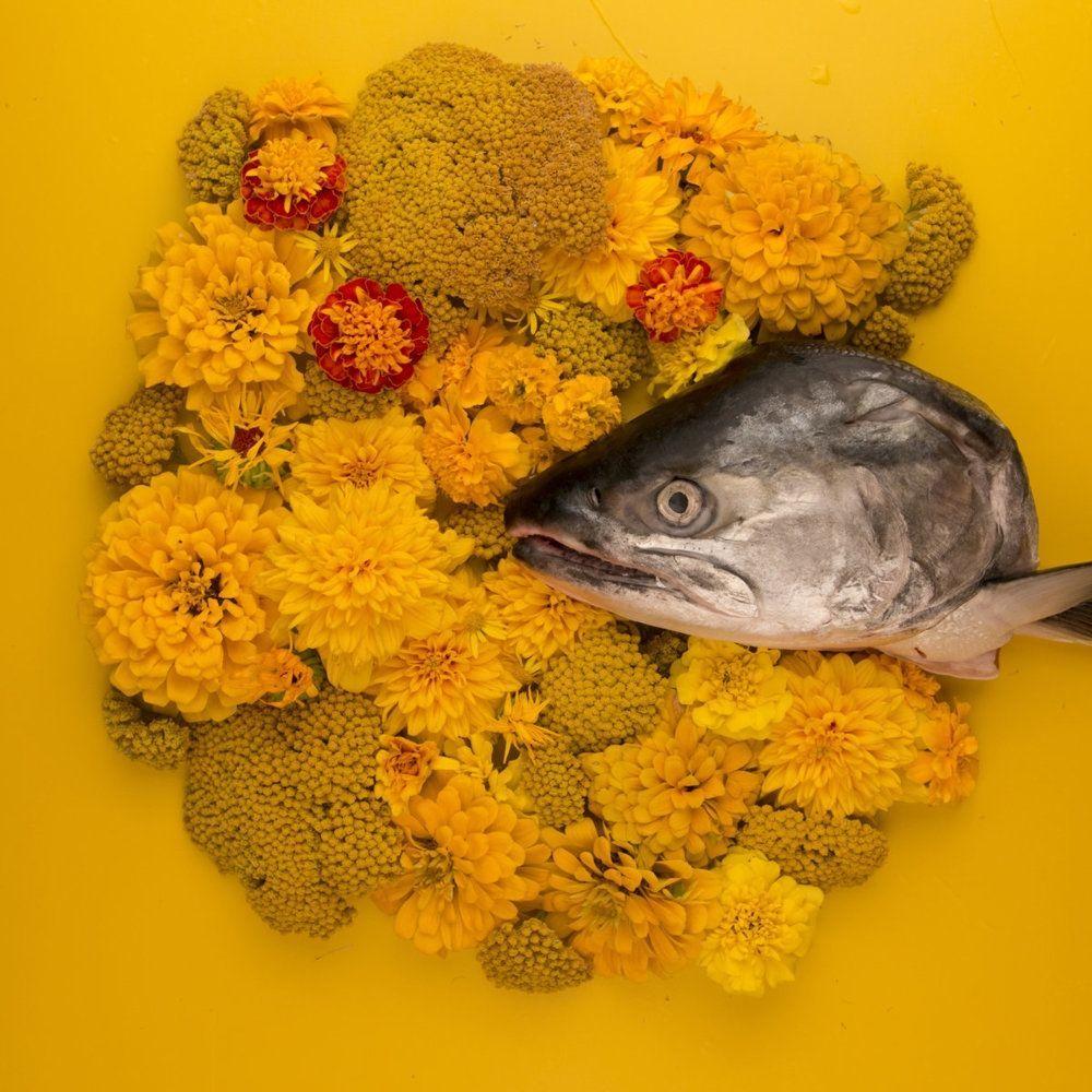 Portada de Sencillo/EP "Fish Eyes EP", de Haley Heynderickx