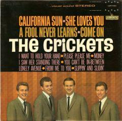 Capa do Álbum "The Crickets (1964)", de The Crickets
