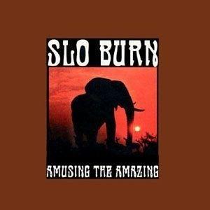 Capa do Álbum "Amusing The Amazing", de Slo Burn